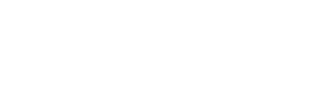 FLAG PARTNERS