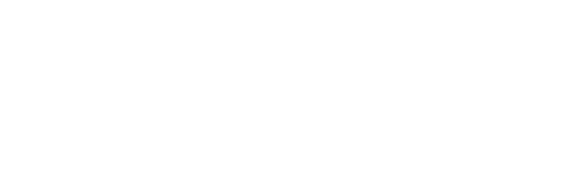 FLAG PARTNERS
